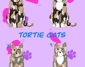 Pegatina de vinilo resistente a la intemperie de gato de pelo corto con carey y carey diluido/ Encantadora calcomanía kawaii para portátil/ Regalo conmemorativo para amantes de los animales