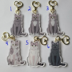 Puede incluir: Seis llaveros de gato diferentes con anillos dorados en forma de corazón. Los llaveros están hechos de acrílico transparente y presentan gatos de diferentes colores con diversas marcas. Los llaveros están numerados del 1 al 6.