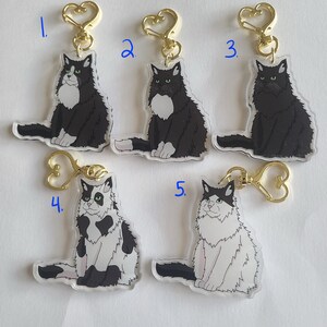 Black Long Haired Cat Acrylic Keychains Tuxedo, Spotted, Van