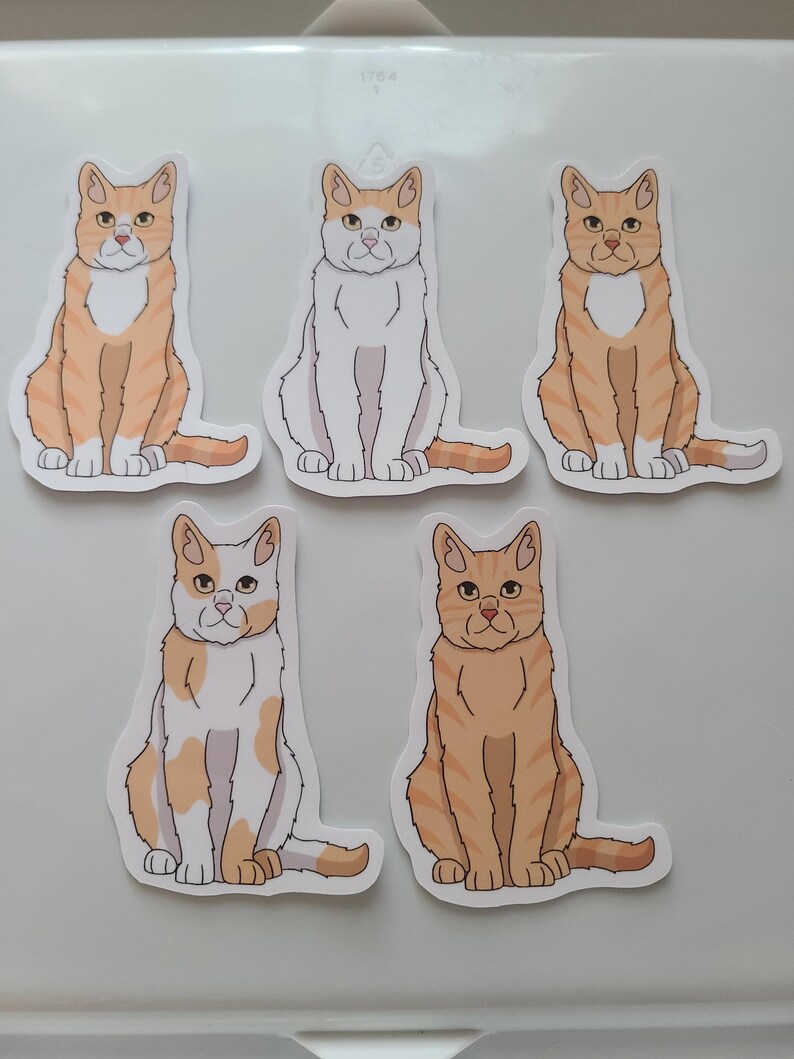 Light Orange Tabby Cat Short Hair Vinyl Weatherproof Sticker/ Charming ...