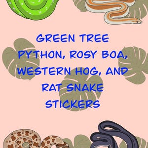 May include: A selection of snake stickers, including a green tree python, rosy boa, western hog, and rat snake. The image includes the text: "Green Tree Python, Rosy Boa, Western Hog, and Rat Snake Stickers."