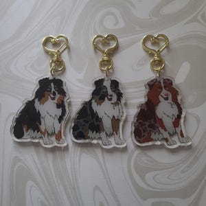 Australian Shepherd Dog Breed Keychains Tri, Blue Merle, Red Merle