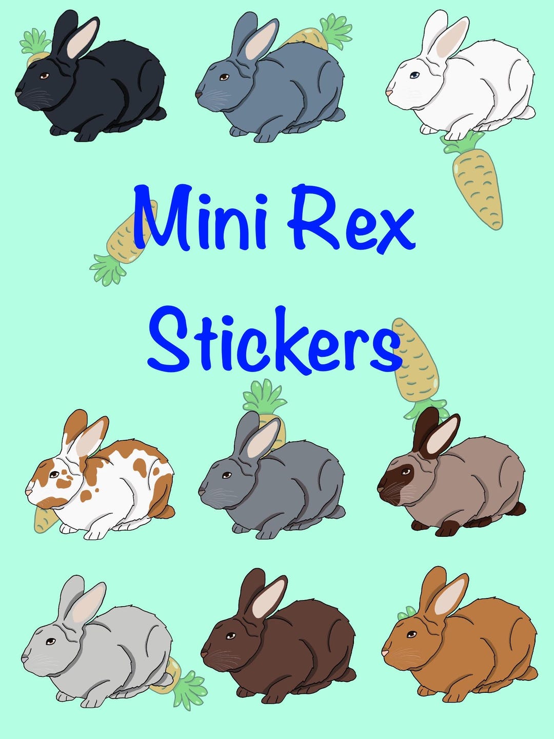 Mini Rex Rabbit Informational Poster Mini Rex Rabbit Breed Vinyl Weatherproof Sticker/ Charming Kawaii Pet ...