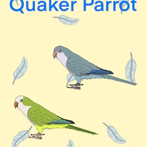 Quaker Parrot Bird Stickers