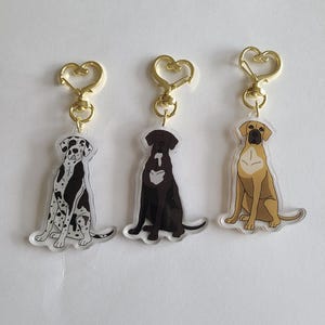 Great Dane Dog Breed Acrylic Keychains Harlequin, Black, and Fawn