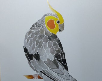 Cockatiel Print