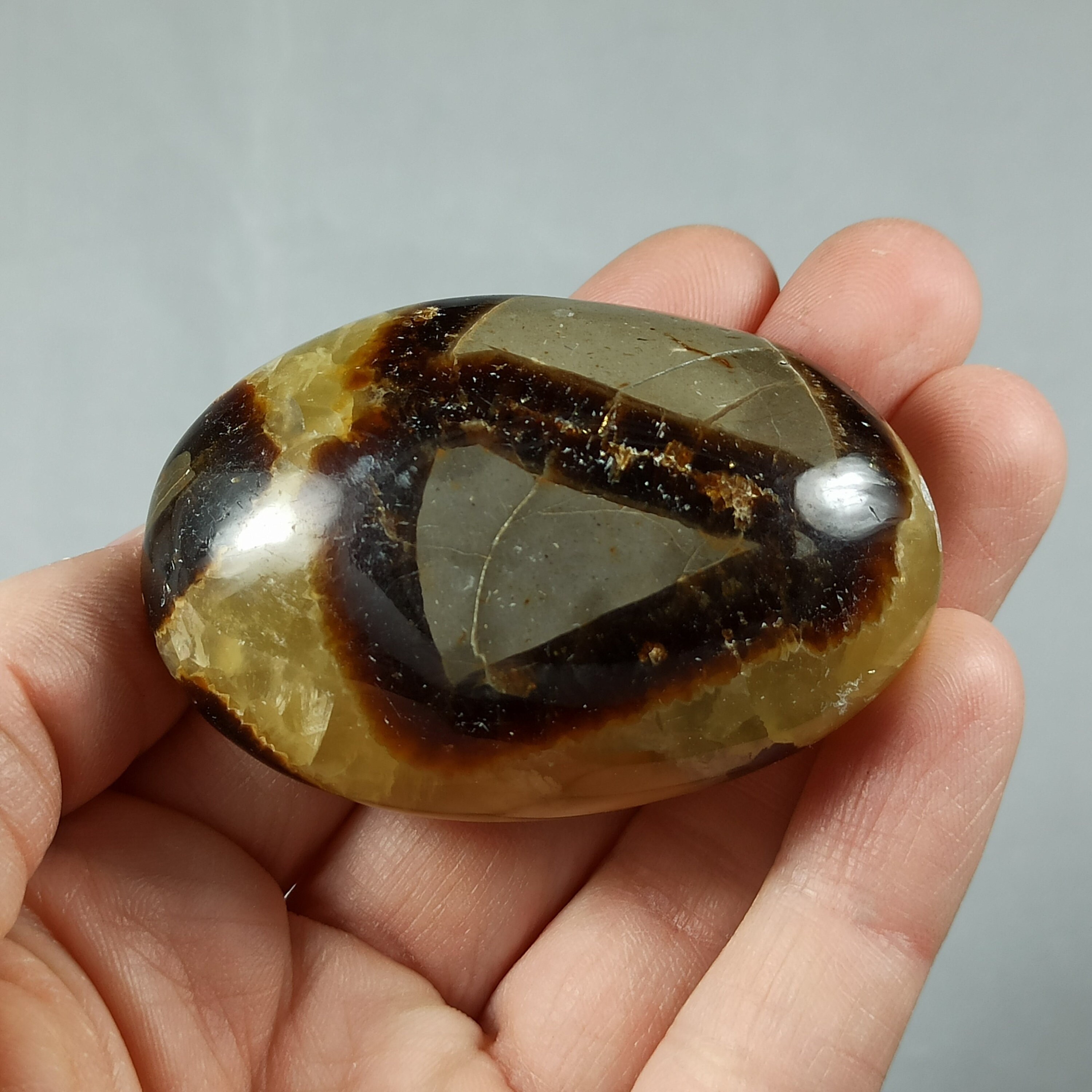 Galet en Septaria de Madagascar - 90 Grammes