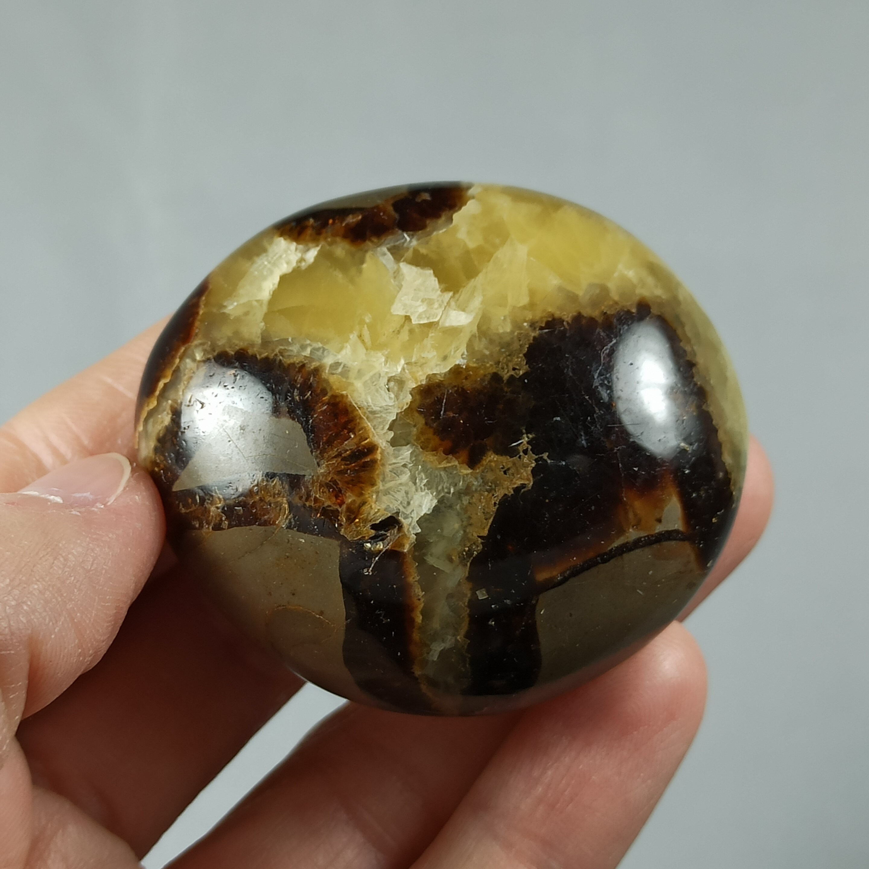 Galet en Septaria de Madagascar - 85 Grammes