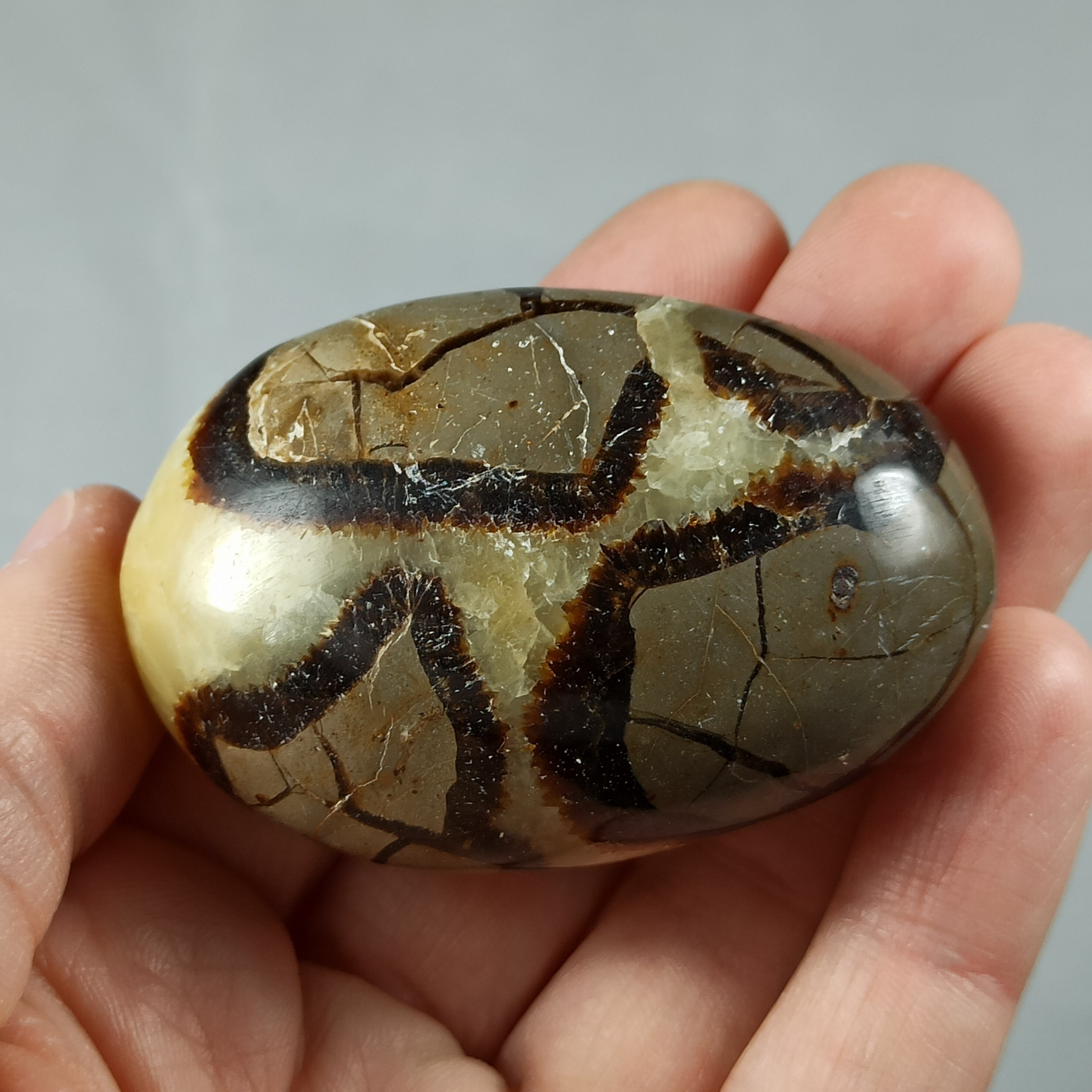 Galet en Septaria de Madagascar - 85 Grammes