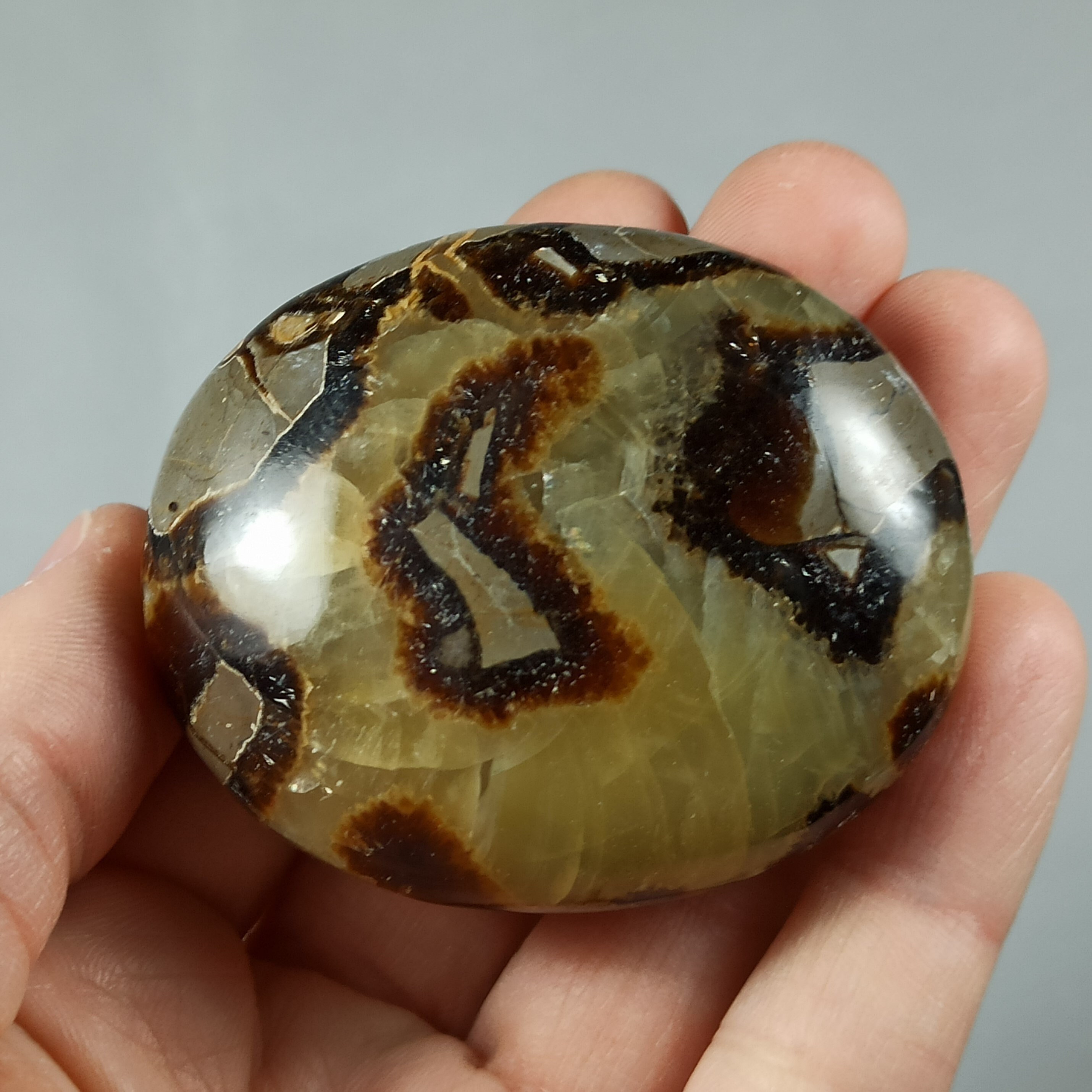 Galet en Septaria de Madagascar - 105 Grammes