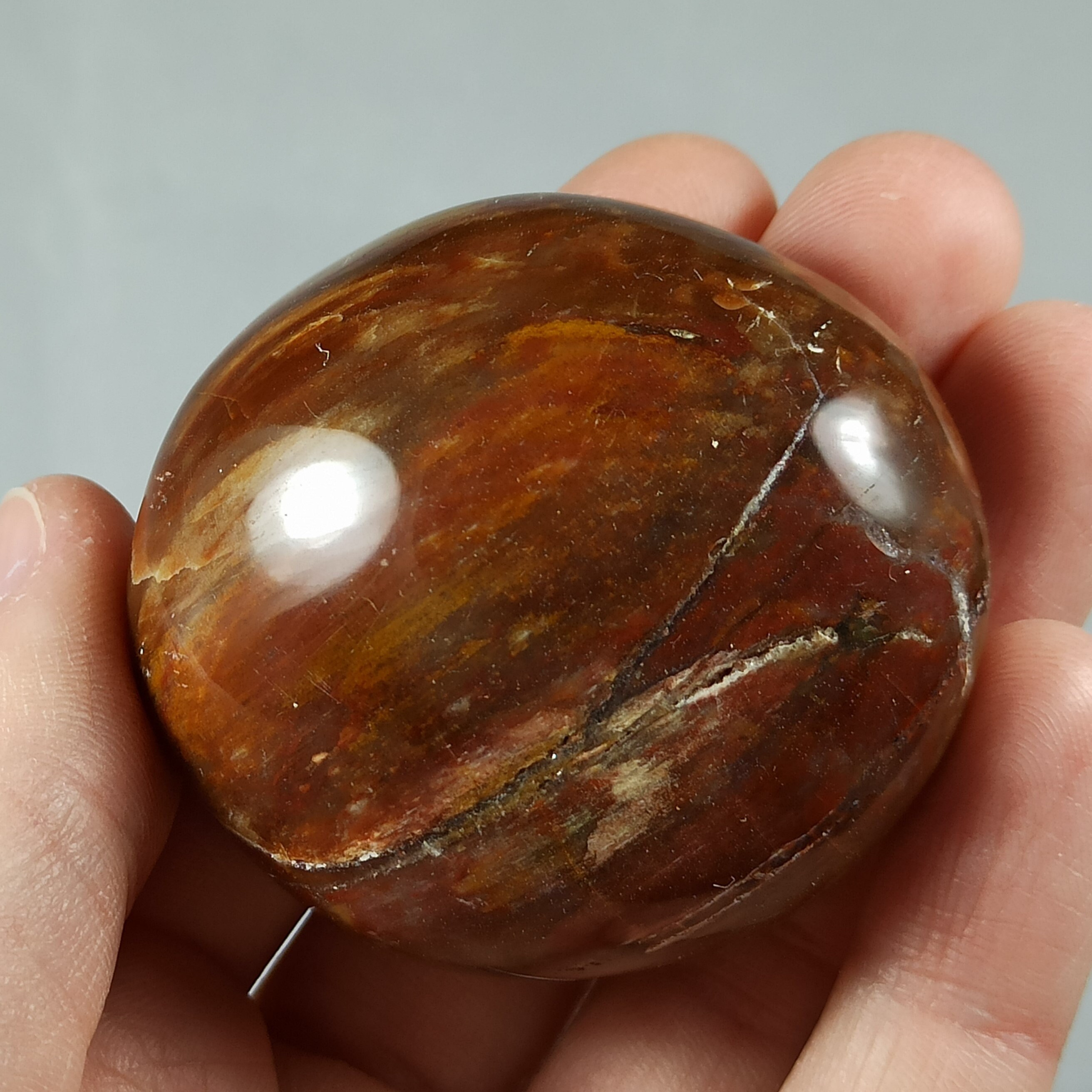 Galet en Bois Fossile de Madagascar - 100 Grammes