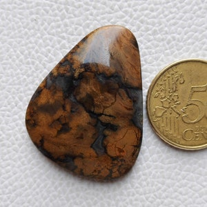 Fancy Shape Beautiful Plume Agate Gemstone For Making Jewelry, Pendant Stone, 60 CRT 40x30x6 mm Natural Plume Agate Cabochon