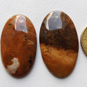 2 Piece Lot Zeldzame Honing Dendrite Agate Edelsteen, Oval Shape Artisan Sieraden, Dendrite Agate Loose Cabochon