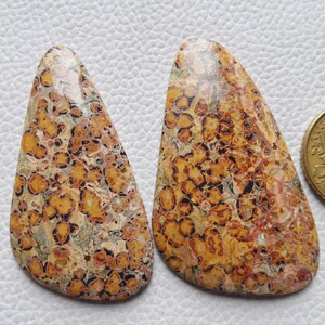2 Piece Lot Amazing Leopard Skin Jasper Gemstone Cabochon Mix Shape For Jewelry Making Leopard Skin Jasper Stone