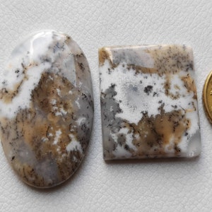 2 Piece Lot Awesome Honing Dendriet Agaat Edelsteen, Mix Shape Artisan Sieraden, Dendriet Agaat Losse Cabochon