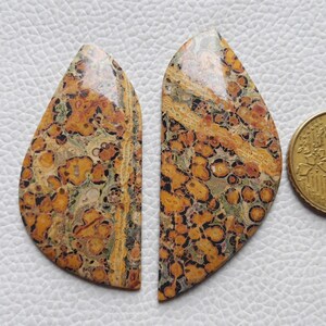 2 Piece Lot Unique Leopard Skin Jasper Gemstone Cabochon Mix Shape For Jewelry Making Leopard Skin Jasper Stone