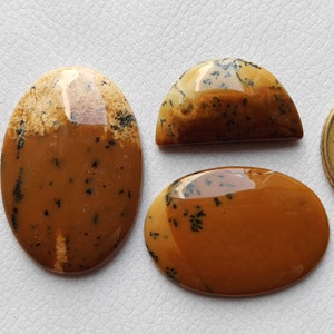 Lote de 3 peças de pedra preciosa de ágata dendrita de mel natural, joias artesanais de formato misto, cabochão solto de ágata dendrita