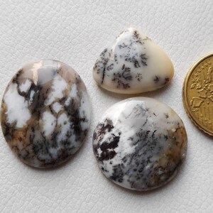 Lote de 3 peças de pedra preciosa única de ágata dendrita de mel, joias artesanais de formato misto, cabochão solto de ágata dendrita