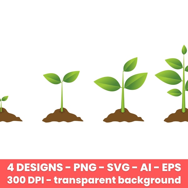 Growing plant process clipart set. Digital images or vector graphics for commercial and personal use.