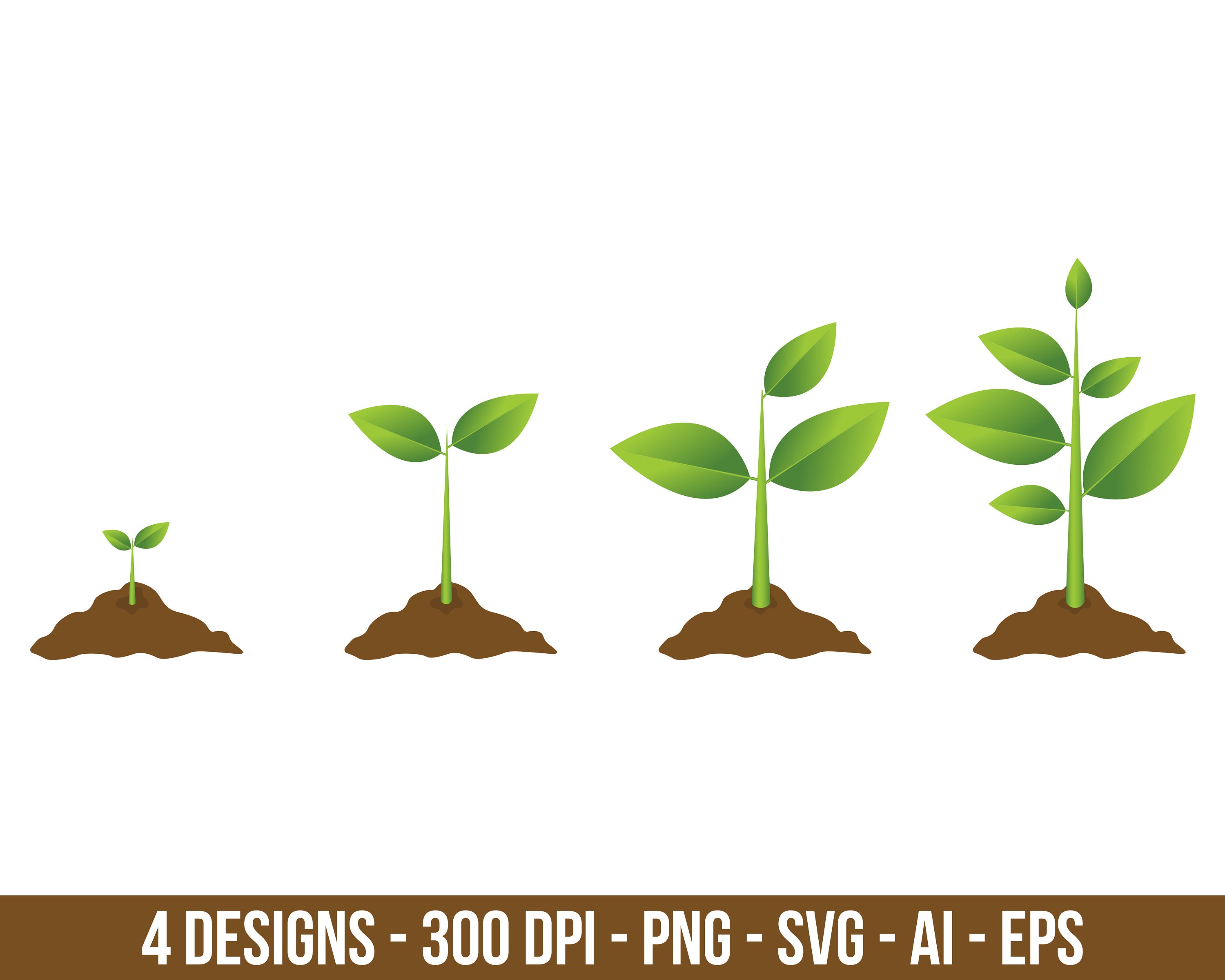 Growing Plant Process Clipart Set. Digital Images or Vector - Etsy