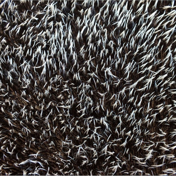 Realistic Hedgehogs Mohair  Fabric - 25x33 cm