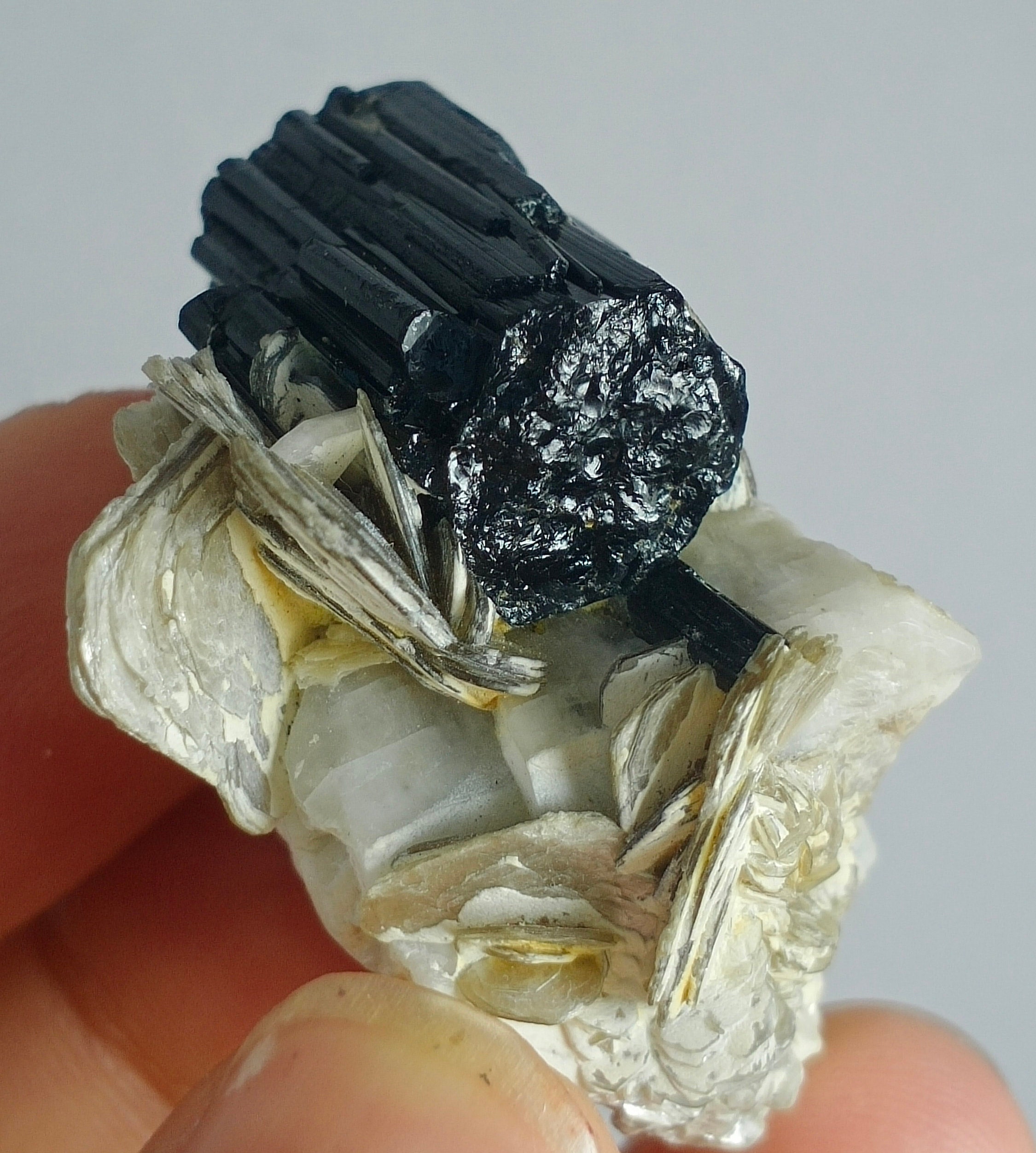 High Quality Black Tourmaline Crystal with the Combination of Etsy