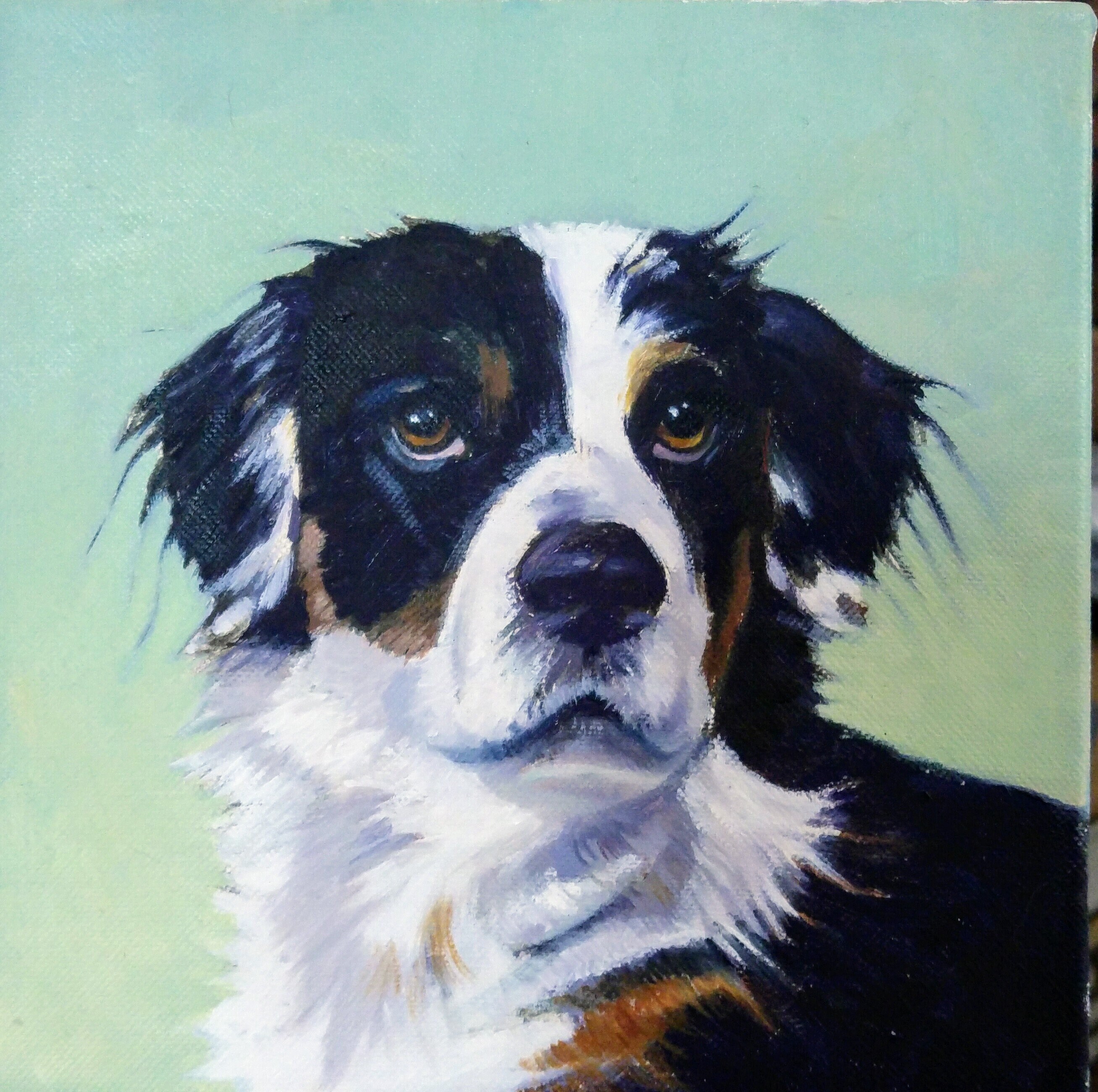 Portrait d'animal Familier, Peinture à L'huile, de Chien, Commémorative, Dessin Original.