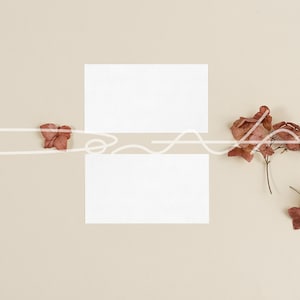 Neutrale toon visitekaartje mockup, plaats kaart mockup, bruiloft mockup, gestylede stockfoto, Instant Download, JPG-bestand