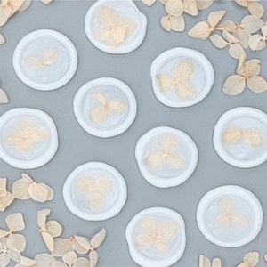 Rose Quartz Petals in Semi Clear Wax Self Adhesive Wax Seal