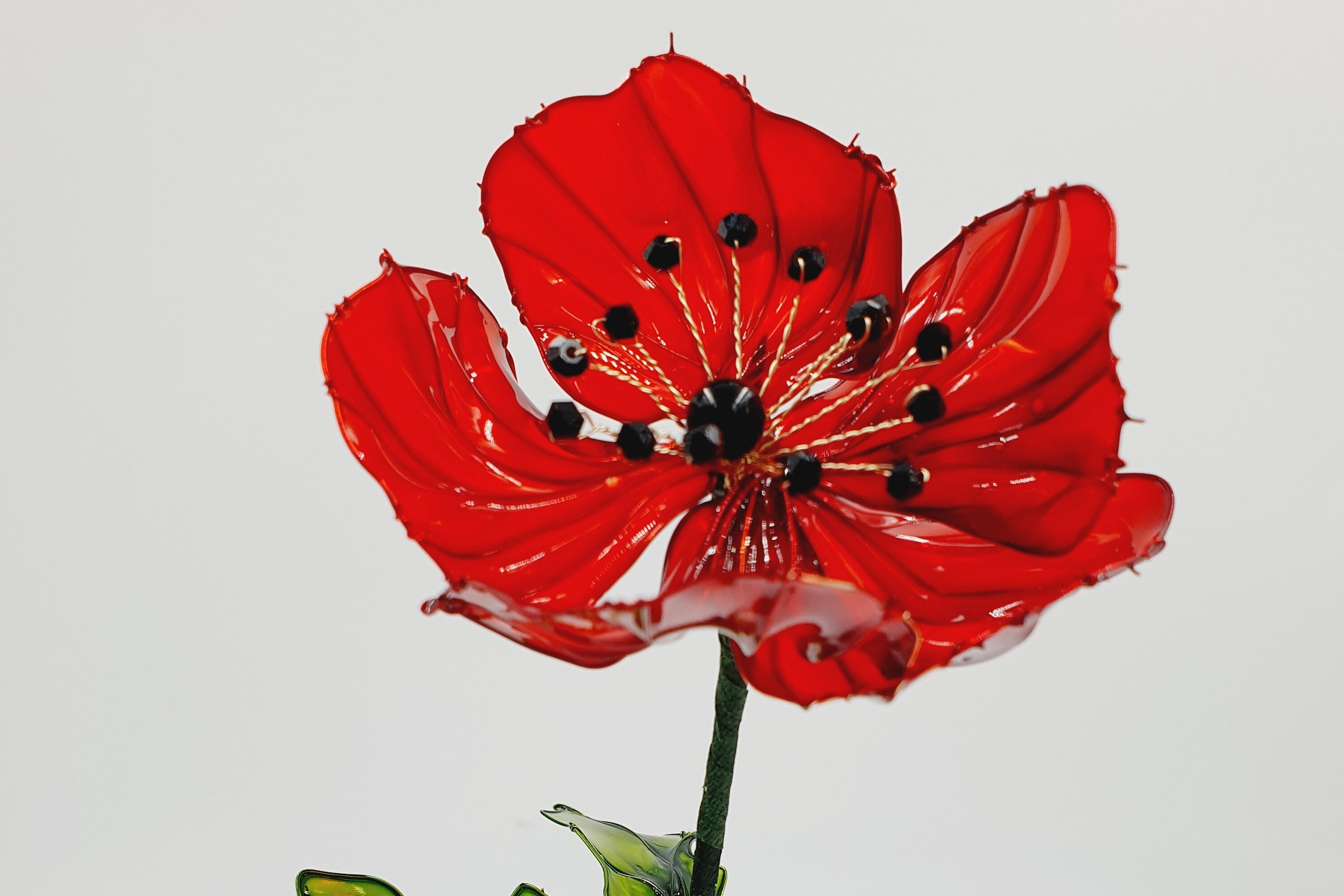 Dip Resin Poppy Flower Kit Complete Translucent Resin Starter Etsy.de