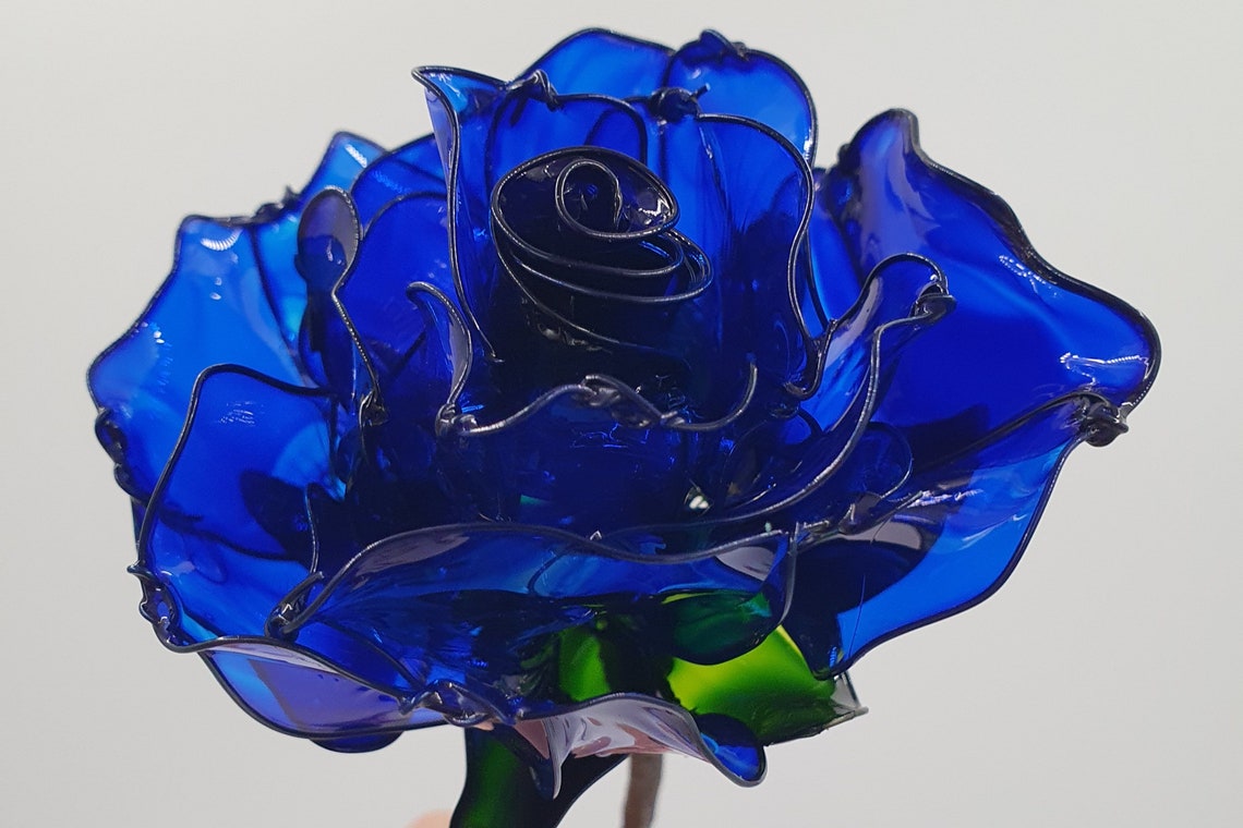 Dip Resin Rose Flower Kit Complete Translucent Resin Starter Etsy