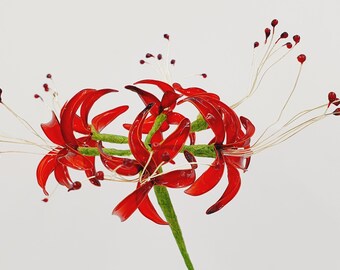 Spider Lily Etsy