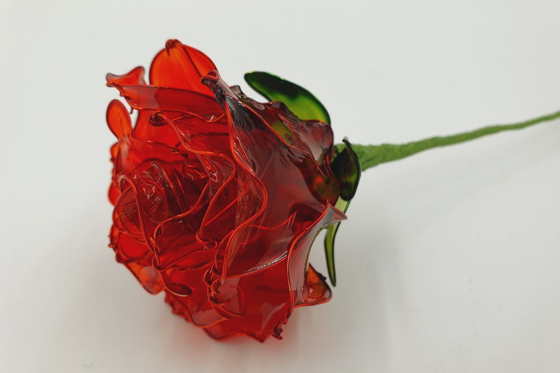 Dip Resin Rose Flower Kit Complete Translucent Resin Starter Etsy UK