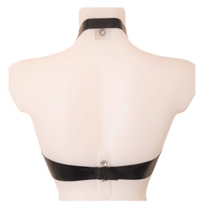 Back view of the bra showing the choker round the back of the neck with the bra band.