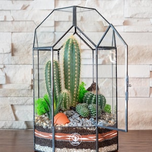 Geometric glass plant terrarium Ruby | With door | Without door | Terrarium | Mini garden | Ideal gift for any occasion. PLANTS NOT INCLUDED