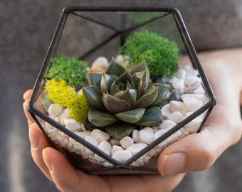 Handgefertigtes geometrisches Glasterrarium | Tischkerzenhalter | Basteln | ideales DIY Geschenk | Pflanze nicht enthalten