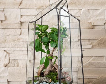 Stained Glass Geometric Terrarium | Handmade Modern Planter