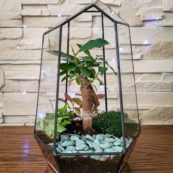 Geometric glass plant terrarium "Crystal", modern decor bringing nature into your home. Ideal gift for any occasion. PLANTS NOT INCLUDED.