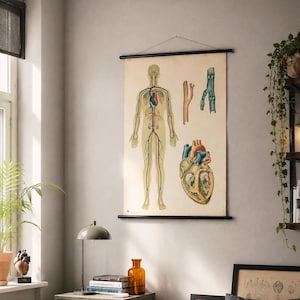 May include: Anatomy chart of the human body, depicting the skeletal and circulatory systems, hangs on a wall. The chart is mounted with black rods. A bedside table with a lamp, books, and a decorative orange bottle is in the foreground. A bed with a gray blanket is also visible.