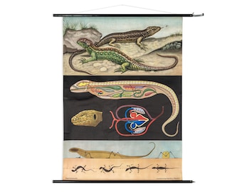 Original Vintage School Wall Map Fence Lizard Anatomy Poster Roll Map Biology Nature Zoological Teaching Board Jung-Koch-Quentell Hagemann