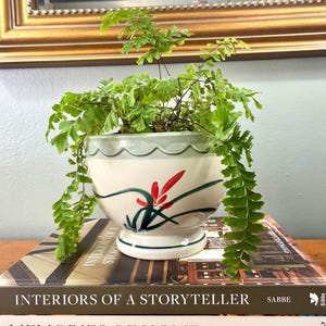 May include: A potted maidenhair fern in a decorative ceramic planter. The white planter features a scalloped rim and a floral design with red and green accents. The plant sits atop a stack of books with the title "INTERIORS OF A STORYTELLER".