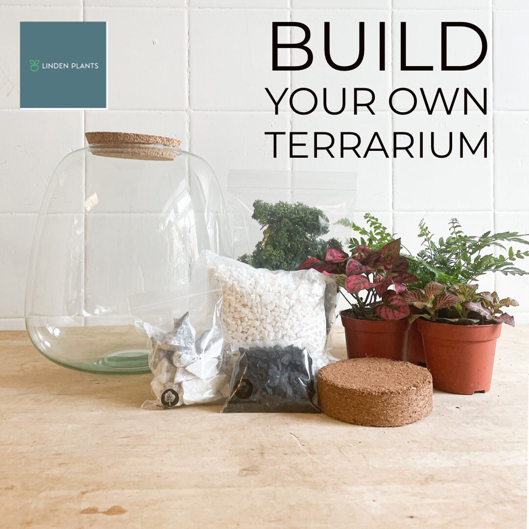 Build Your Own Terrarium Kit Closed Terrarium Make at Home Etsy UK