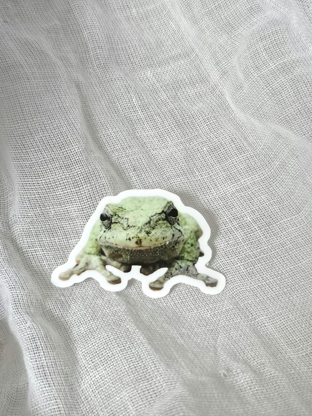 Tree Frog Sticker Grey Tree Frog Sticker - Etsy