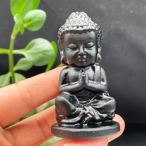 May include: A small black figurine of a meditating Buddha. The Buddha is sitting in a lotus position with hands in a prayer position. The figurine is on a black base.