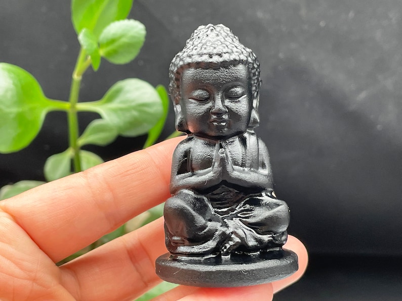 May include: A small black figurine of a meditating Buddha. The Buddha is sitting in a lotus position with hands in a prayer position. The figurine is on a black base.