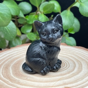 Gatto intagliato di cristallo ossidiana, statuetta di gattino intagliato, regalo di inaugurazione della casa, arredamento domestico, cristallo curativo e pietra #051640