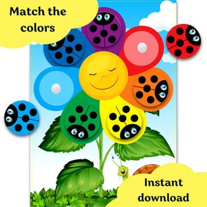 Gioco di abbinamento colori coccinelle, attività di carte abbinate, raccoglitore di apprendimento per bambini, pagine di libri affollati, stampabili prescolari