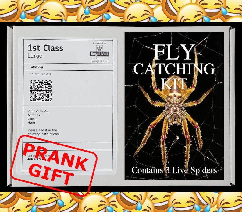 LIVE SPIDERS Prank Mail Post Gift - Gag Box - Funny Birthday, Christmas Present - Sent directly to loved one/victim (100% anonymous) 
