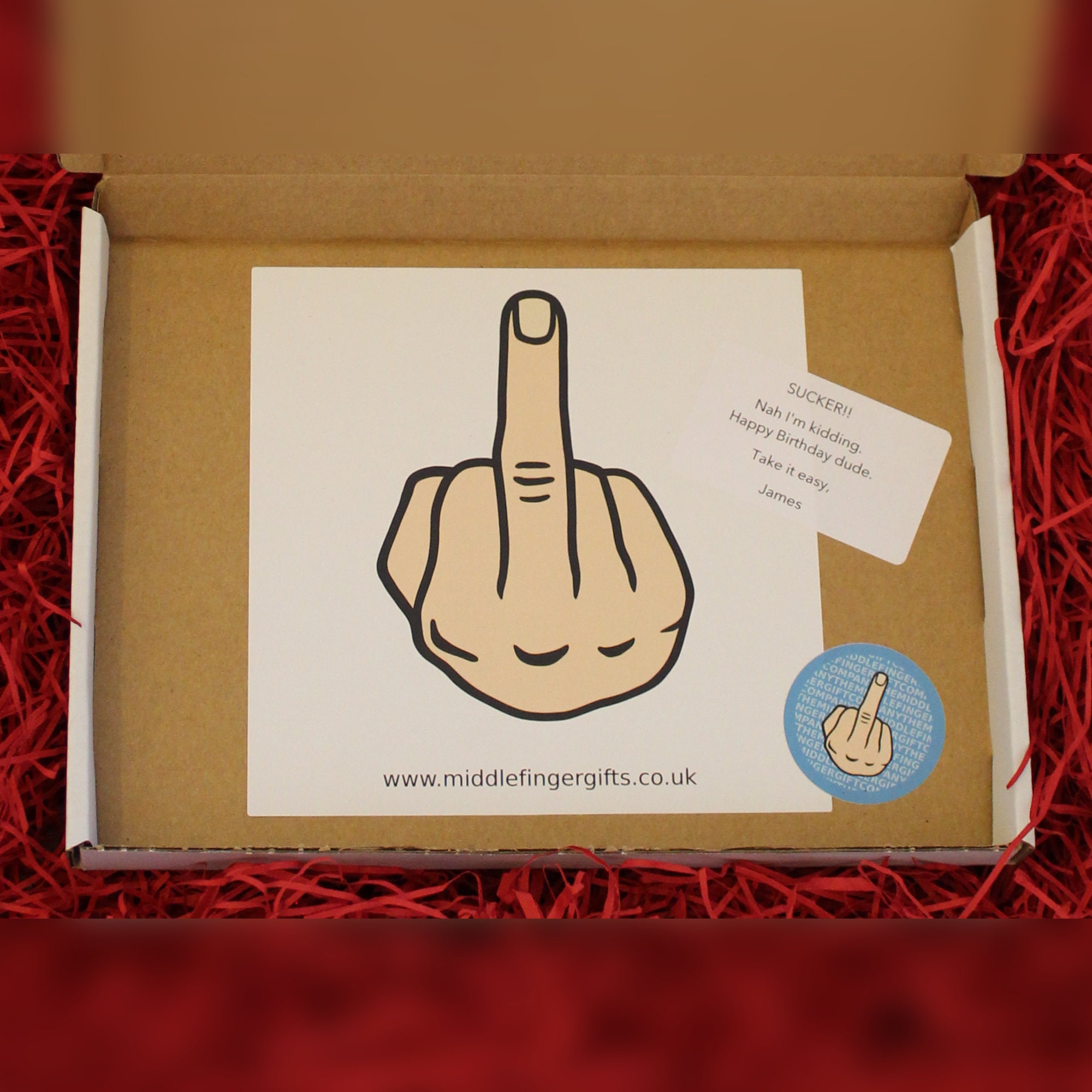 Middle Finger Box Prank Mail Post Gift Box Gag Funny Birthday, Christmas  Present 100% Anonymous 