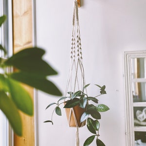 large plant hanger / 9 colour choices/  boho decor / hanging planter / eco friendly / handmade and customizable